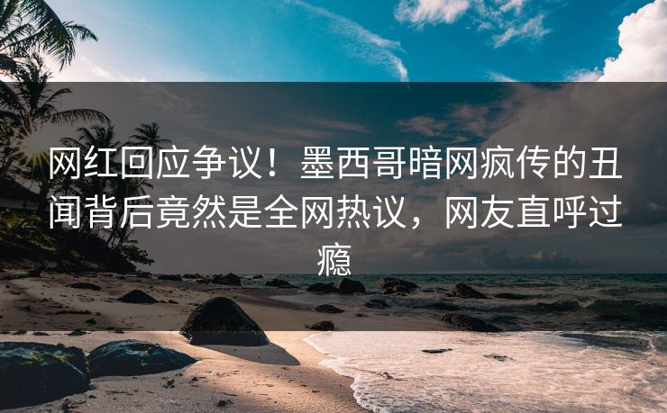 网红回应争议！墨西哥暗网疯传的丑闻背后竟然是全网热议，网友直呼过瘾