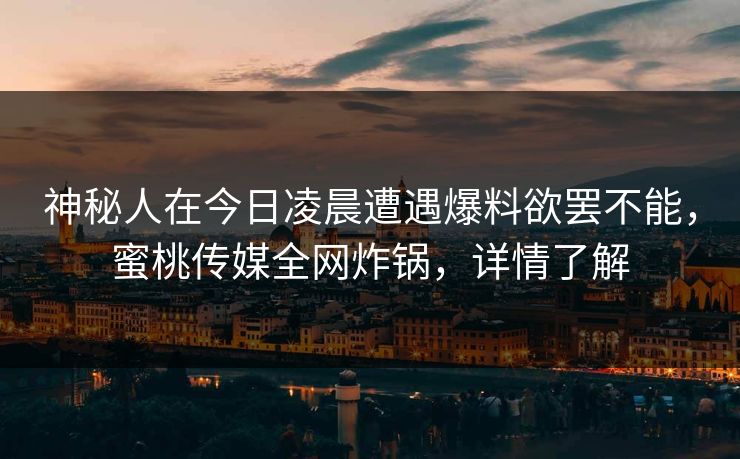 神秘人在今日凌晨遭遇爆料欲罢不能，蜜桃传媒全网炸锅，详情了解