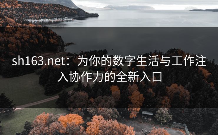sh163.net：为你的数字生活与工作注入协作力的全新入口
