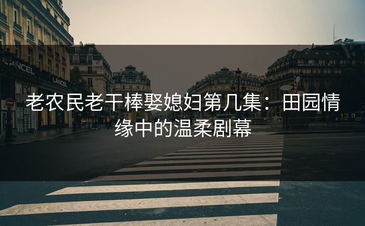 老农民老干棒娶媳妇第几集：田园情缘中的温柔剧幕