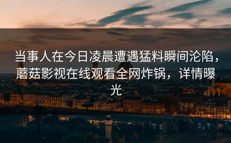 当事人在今日凌晨遭遇猛料瞬间沦陷，蘑菇影视在线观看全网炸锅，详情曝光