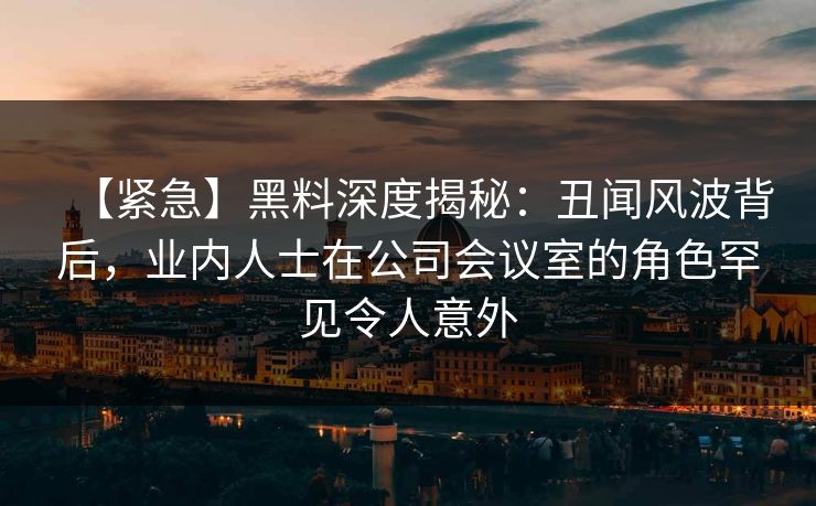 【紧急】黑料深度揭秘：丑闻风波背后，业内人士在公司会议室的角色罕见令人意外