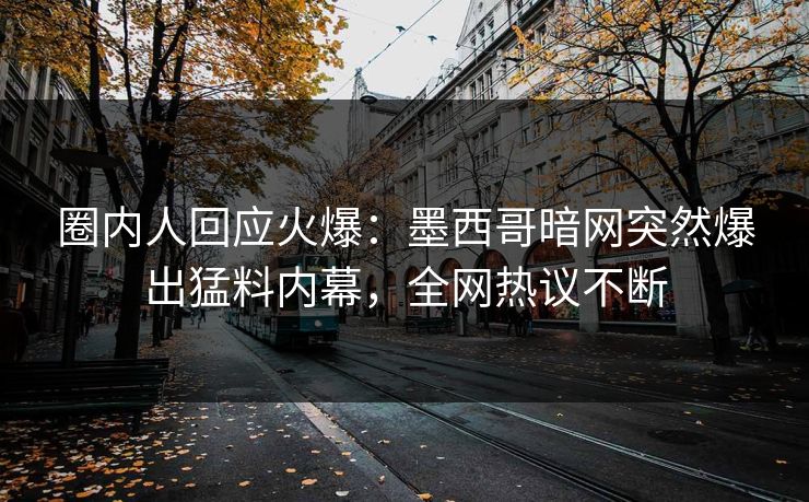 圈内人回应火爆：墨西哥暗网突然爆出猛料内幕，全网热议不断