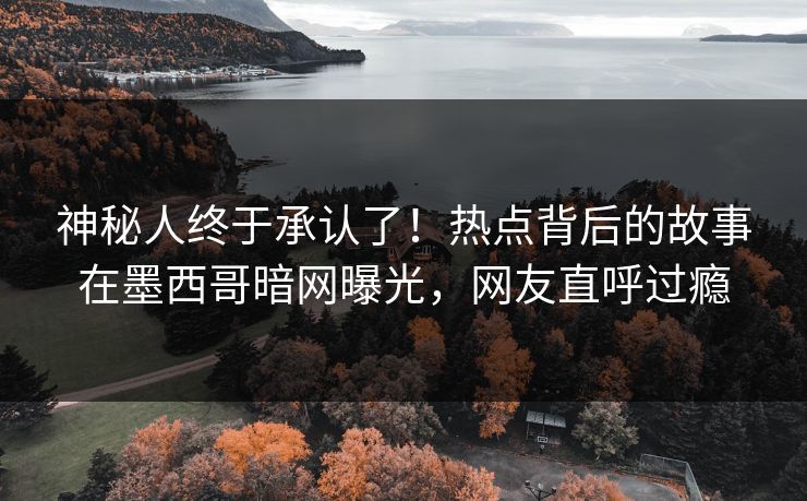 神秘人终于承认了！热点背后的故事在墨西哥暗网曝光，网友直呼过瘾