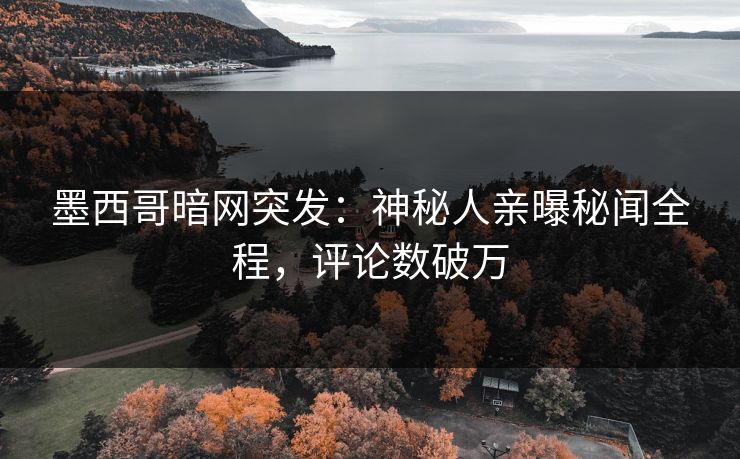 墨西哥暗网突发：神秘人亲曝秘闻全程，评论数破万