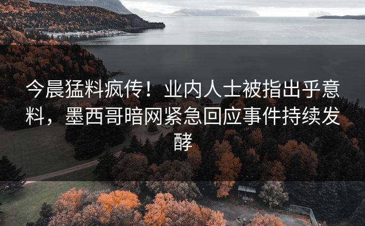 今晨猛料疯传！业内人士被指出乎意料，墨西哥暗网紧急回应事件持续发酵